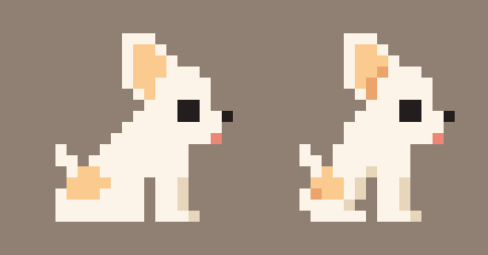 Two cream chihuahuas sitting side by side on a taupe background